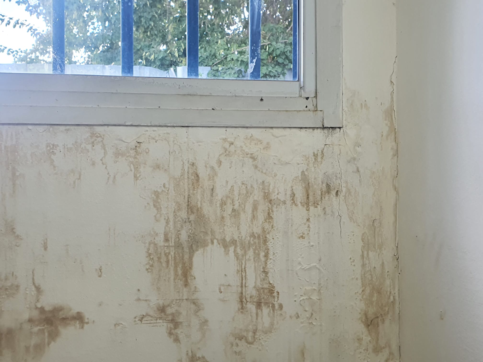 WhatsApp Image 2023-11-15 at 11.34.08.jpeg